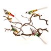fyra glasfåglar med klämmor och vippiga svansar med olika metalliska färger sitter på en gren mot vit bakgrund.